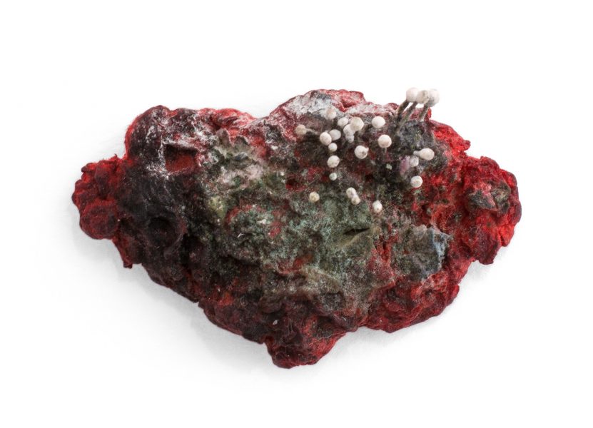 Mycellium cardinalis pm., 2016, pin; papier maché, natural pigments and fibres, shibuichi