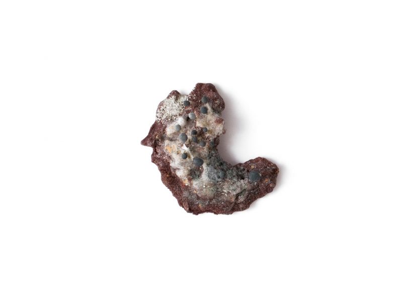 Thallus Subrubra aa., 2016, pin; agar-agar, natural pigments and fibres, shibuichi